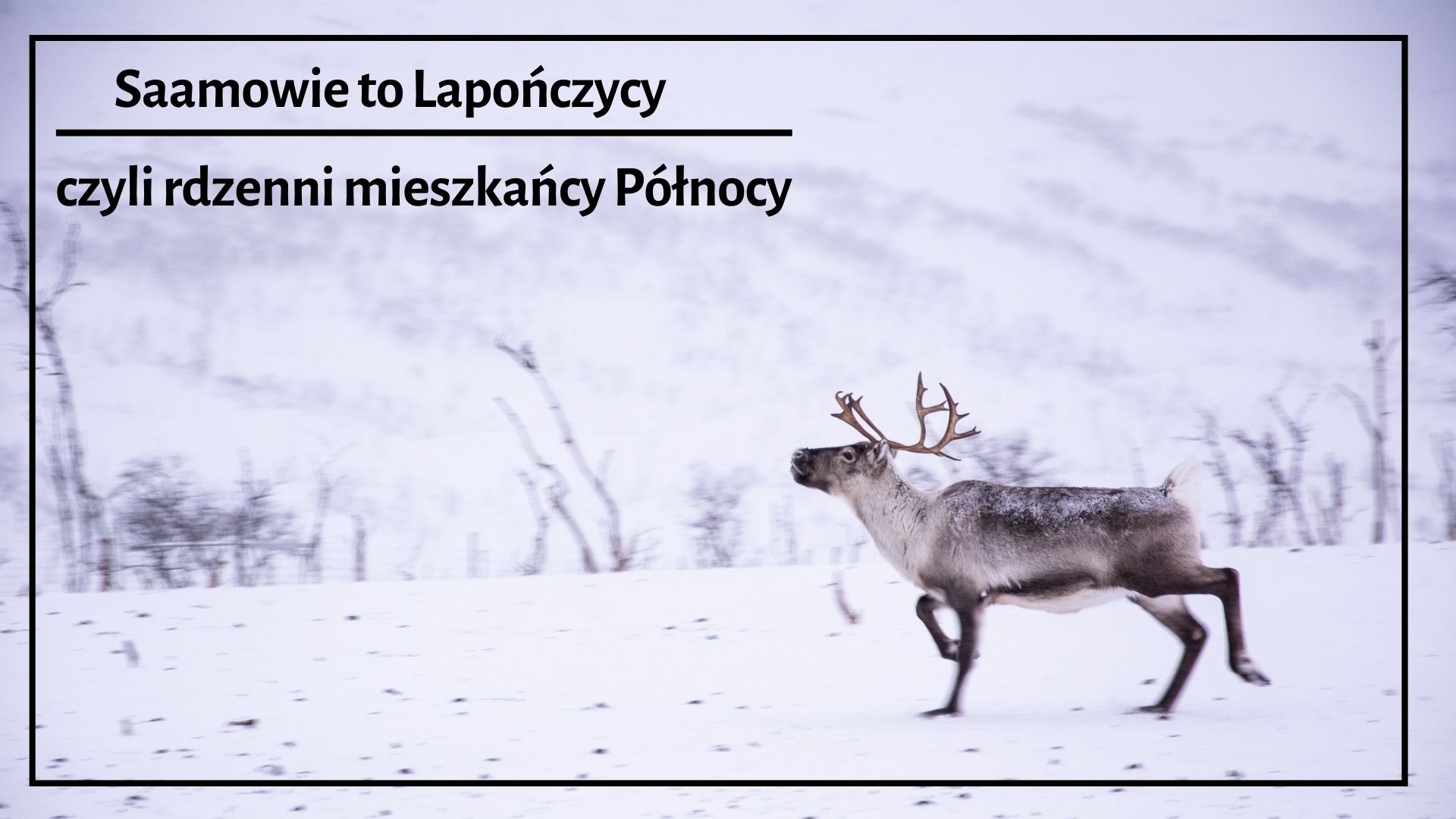 Saamowie to Lapończycy- czyli rdzenni mieszkańcy Północy